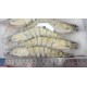 （鮑+蝦）大尾肥豬蝦6隻（買一盒送一盒）加碼送巨鉑金大鮑魚一顆