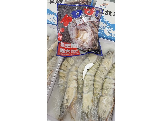 （鮑+蝦）大尾肥豬蝦6隻（買一盒送一盒）加碼送巨鉑金大鮑魚一顆