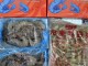 有氧蝦2盒送毛豆莢1公斤