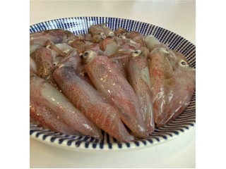 東北角鮮凍野生生小卷/買4送1 共5盒