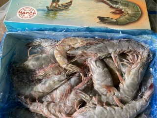 超鮮活凍大白蝦2盒/送蝦枝花丸1包（加碼更大盒）